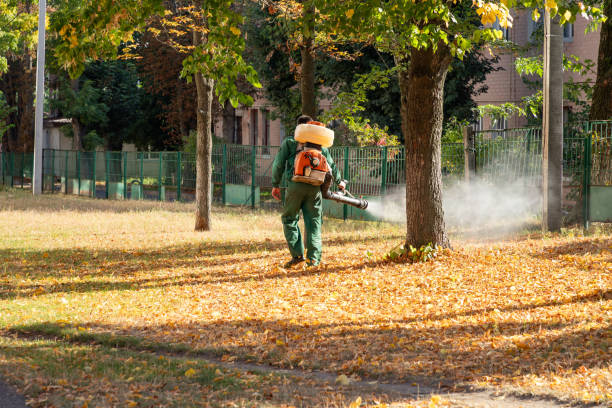 Best Commercial Pest Control Services  in Morton, PA